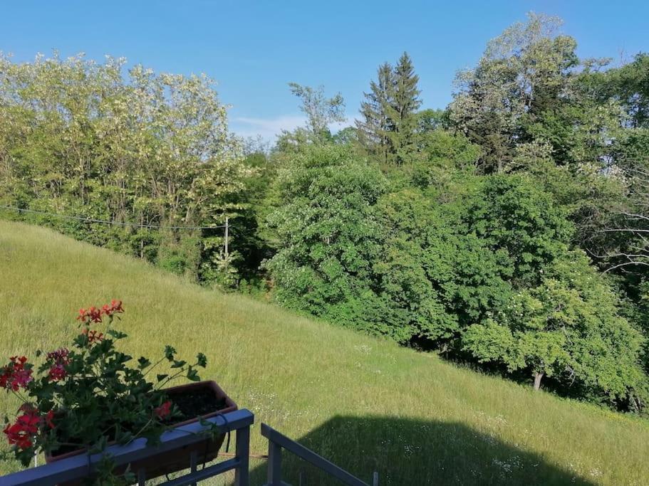 Villa La soffitta di Anita Bedonia Esterno foto
