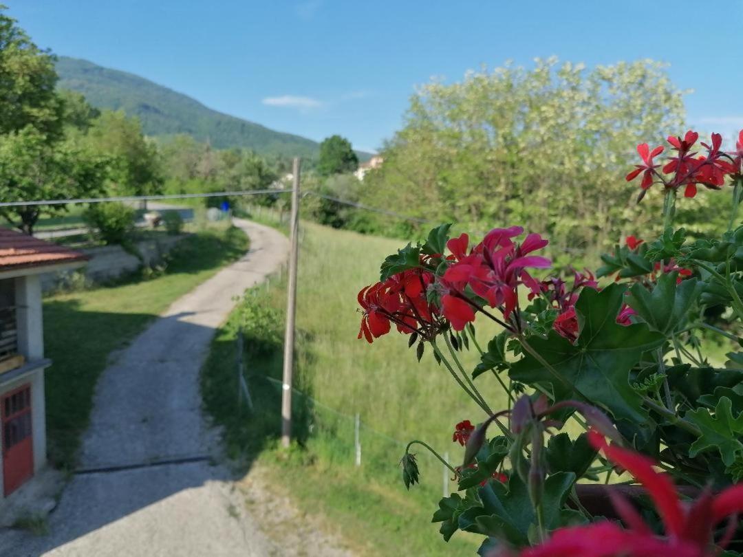 Villa La soffitta di Anita Bedonia Esterno foto